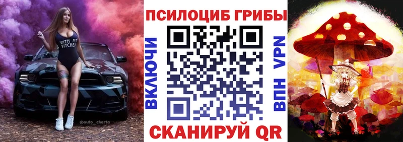 даркнет сайт mega как зайти Псилоцибиновые грибы MAGIC MUSHROOMS Каменногорск